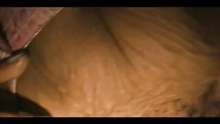 Les lesbiennes aux gros seins et lubriques Angel Eyes et Alexis Silver n'ont rien contre film x francais amateur gratuit le cunnilingus